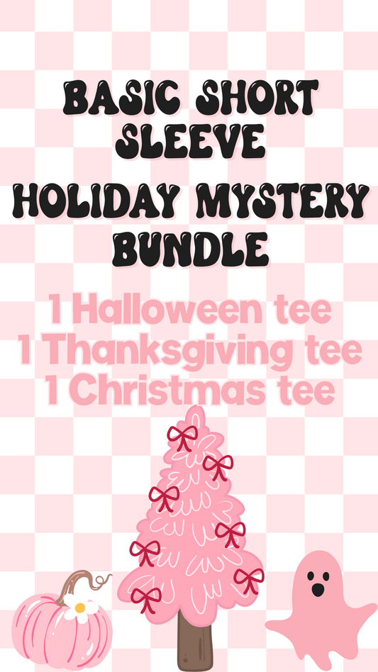 Basic Tee Holiday Mystery Tee Bundle
